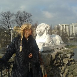 ����, �����������, 48 ���