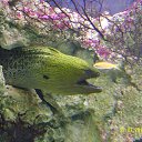 ���� Eugene, �������, 43 ���� - ��������� 18 ������� 2014 � ������ ����������� ��������