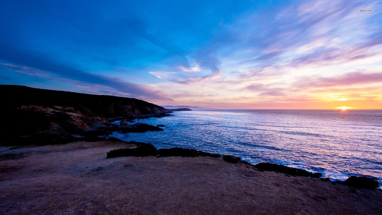 Bodega Head