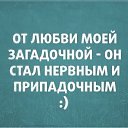 ���� ��������, �����-��������� - ��������� 12 ������ 2015 � ������ ������ ��������