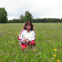 ������, ����������, 75 ���