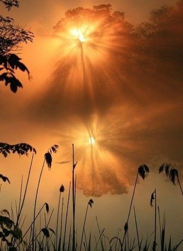 Подставляйте солнышку ладошки, собирайте лучики в карман, а затем, с любовью, понемножку, раздавайте ... - 6