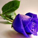���� �����, ��������, 57 ��� - ��������� 16 ������� 2015 � ������ ������ ��������
