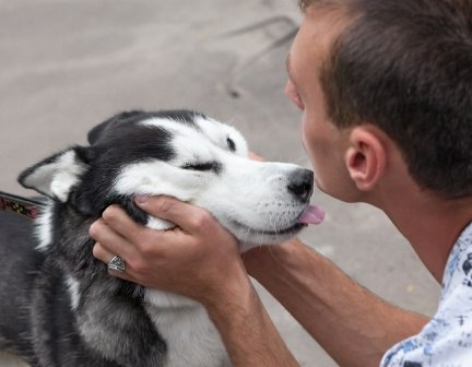МЕЖДУ ПИТОМЦАМИ И ИХ ХОЗЯЕВАМИ ВОЗМОЖНО ЕСТЬ ДУХОВНАЯ СВЯЗЬ.Сегодня очень многие, пожалуй, знают, ... - 2