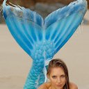 ���� ��������, ������, 44 ���� - ��������� 10 ������� 2015 � ������ ���������� �����������