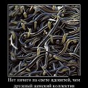 ���� ������, ������ - ��������� 2 ������ 2015 � ������ ��������)))�