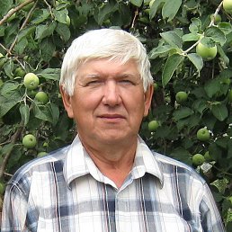 �����, ���, 77 ���