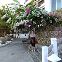 ���� ������, ������ - ��������� 8 ������ 2015 � ������ ���� ����������