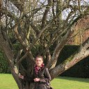 Rufford Abbey Country Park