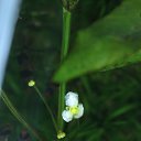 ���� V�������, ��������� - ��������� 4 ����� 2015 � ������ �������