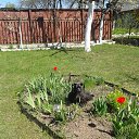 ���� Lera, ����� - ��������� 20 ����� 2015 � ������ ������ ��������