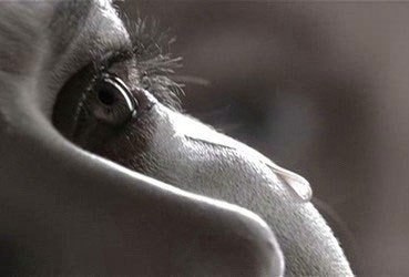Ты никогда не сможешь забыть то, что хочешь забыть больше всего. Чак Паланик