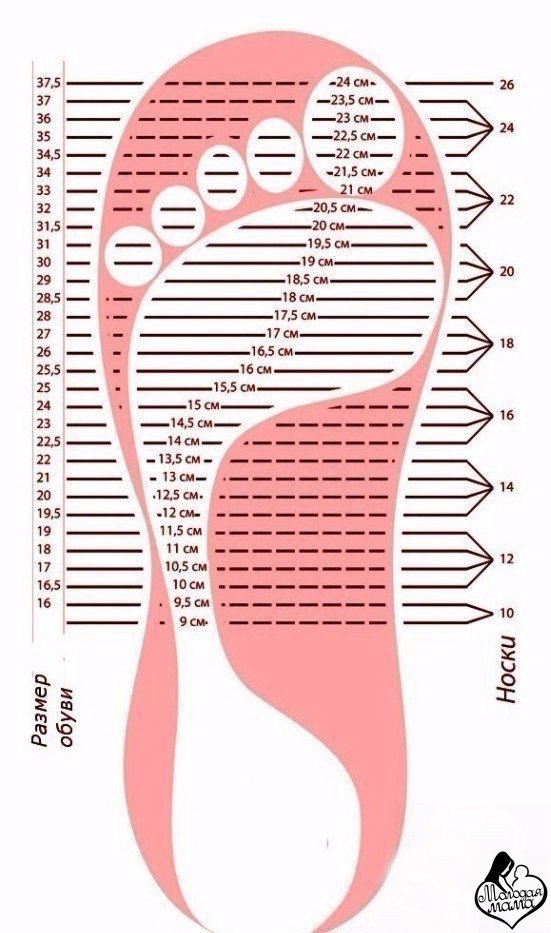 Схема размер стопы