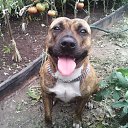 ���� �������, ����� - ��������� 5 ������ 2015 � ������ ���� ����������