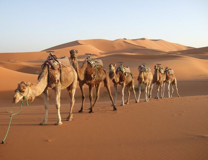    -   (Sahara Desert).     .   ... - 2