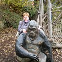 ���� �����, ������ - ��������� 16 ������� 2015 � ������ ���� ����������