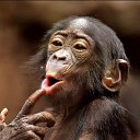 ���� ������, ���������, 52 ���� - ��������� 21 ������� 2015