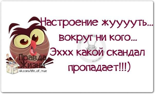 Как настроение что ответить. Цитаты про плохое настроение. Смешные фразы про плохое настроение. Смешные высказывания про плохое настроение. Цитаты про плохое настроение смешные.