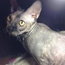 ���� �����, ������ - ��������� 28 ������� 2015 � ������ ���� ����������