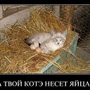 ���� ������, ��������������� - ��������� 13 ������ 2015 � ������ ������