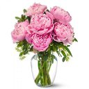 ���� �������, ���������, 43 ���� - ��������� 8 ����� 2015 � ������ ������ ��������