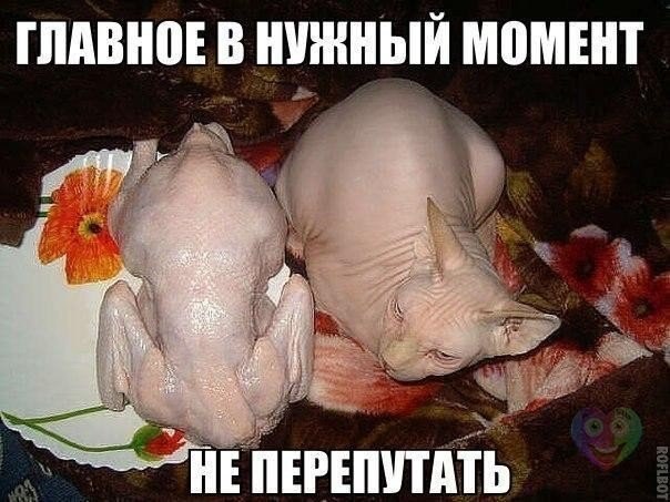   | , ,  - 31  2014  18:03