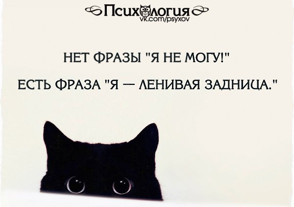  - 19  2015  18:37