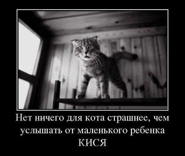   vk.com/ranks