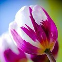 ���� �����, �����, 58 ��� - ��������� 2 ������� 2015 � ������ ������..������ ���������!�