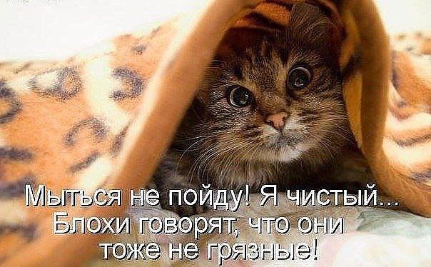 ������� �������� - 25 ����� 2015 � 08:59