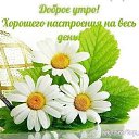 ���� �����, �����, 48 ��� - ��������� 21 ������ 2015 � ������ ������ ��������