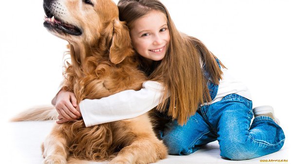 ★   ★ - 30  2015  12:17