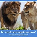 ���� ������, �������, 51 ��� - ��������� 14 ������ 2015 � ������ ������ ��������