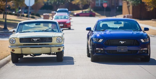 1966 Mustang VS 2015 Mustang - 6