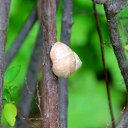  , , 60  -  13  2015      05.04.15.