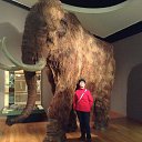 ���� ����, ������ - ��������� 19 ������� 2015 � ������ ���� ����������