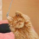 ���� �����!!������� ������, ������������ - ��������� 22 ������� 2015 � ������ ��������