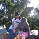 ���� �����, ���������, 43 ���� - ��������� 3 ����� 2015 � ������ ���� ����������