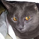 ���� ������, ������ - ��������� 7 ����� 2015 � ������ ���� ������!!!�