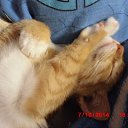 ���� ������, ����� - ��������� 1 ����� 2015 � ������ �������