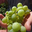 ���� �������, �����������, 57 ��� - ��������� 21 ������� 2014 � ������ �������