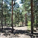 �������� ���, �������� �� ������� ��� �����������