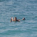 ���� �������, ������ �������, 44 ���� - ��������� 10 ������� 2015 � ������ ���� ����������