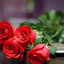 ���� ������ ������, ������, 67 ��� - ��������� 27 ����� 2015 � ������ �������� ��������