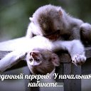 ���� ���������, ����������, 39 ��� - ��������� 22 ����� 2015 � ������ ������ ��������