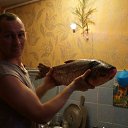 ���� ������, ������-��-����, 52 ���� - ��������� 2 ������ 2015 � ������ ���� ����������