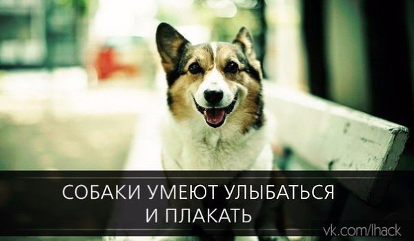������� - 17 ������ 2015 � 21:08