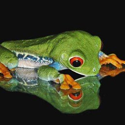 ����, ������