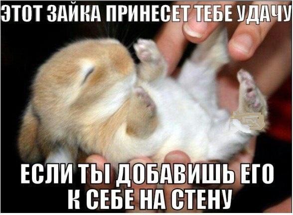 ������ �� ��� :D - 30 ������ 2015 � 20:20