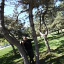 ���� ��������, �������������� - ��������� 8 ������ 2015 � ������ ������ ��������